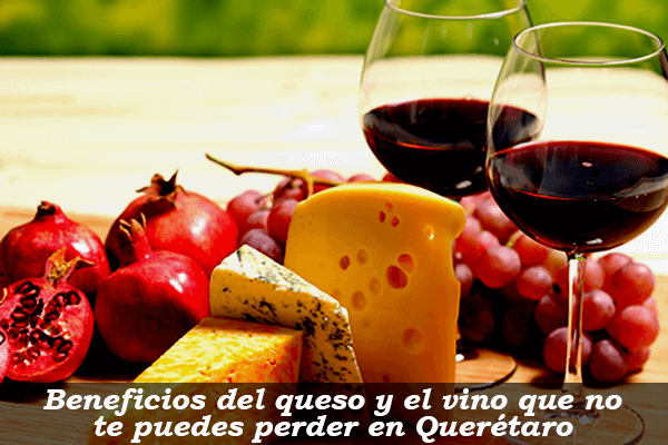Beneficios del queso y el vino que no te puedes perder en Querétaro